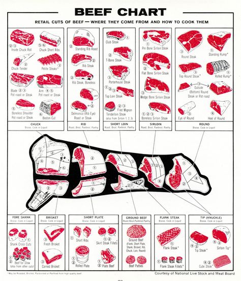 Beef meat chart - know your cuts of beef, steak, brisket, flank, ribeye, filet mignon, tenderloin, t-bone, porterhouse, etc. Beef Chart, Meat Chart, Steak Cuts, Beef Meat, Food Charts, Food Info, Beef Cuts, Processed Meat, Beef Brisket