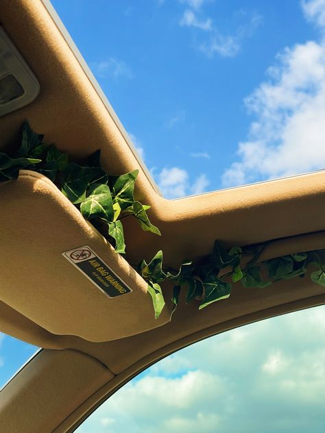 Car Decoration. Vines. Vines in car. Sunroof. Sunny Day. Aesthetic. Car. Sunroof Car Aesthetic Decor, Leaves In Car Decor, Car Accessories Sunroof, Car Interior Design Aesthetic, Car Incense Holder, Car Vines Decor, Car Decorations Dashboard, Vines In Car Decor, Aesthetic Car Decoration