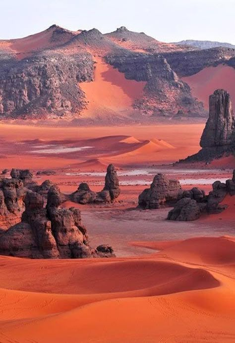 Red Desert Aesthetic, وادي رم, Desert Kingdom, Landscape References, Red Canyon, Desert Beauty, Desert Sahara, Aesthetic Era, Second Brain