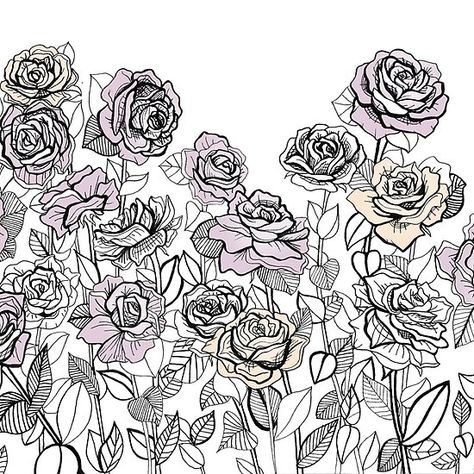 Rose Bush Drawing | Graphic Design Rose Bushes Drawing, Rose Bush Drawing, Rose Garden Drawing, Rose Bush Tattoo, Bush Drawing, Rose Sketch, Forest Drawing, Rose Bedding, Garden Drawing