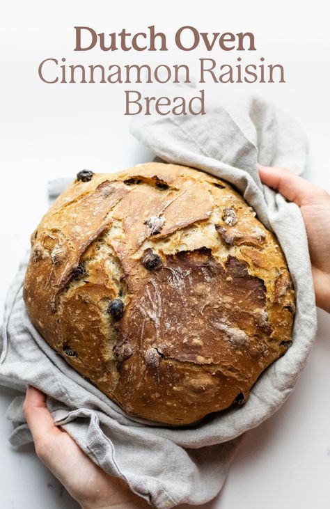 hands using a grey towel to hold a loaf of artisan cinnamon raisin bread over a white counter. Dutch Oven Breads, Cinnamon Raisin Bread Recipe, Raisin Bread Recipe, Oven Bread, Dutch Oven Bread, Cinnamon Raisin Bread, Artisan Breads, Artisan Bread Recipes, Raisin Bread