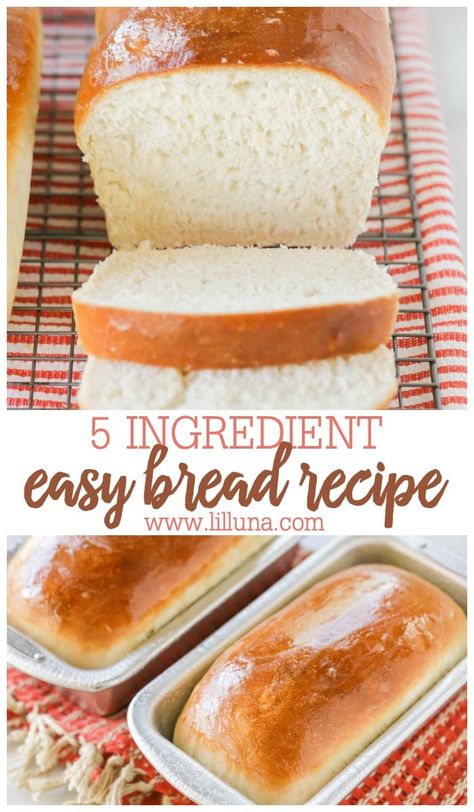 Easy White Bread Recipes For Beginners, Homage Bread, 5 Ingredient Bread, Bread Beginner, Easy Bread Recipes For Beginners, Mini Loafs, Heart Bread, Recipe With Honey, Indulgent Recipes