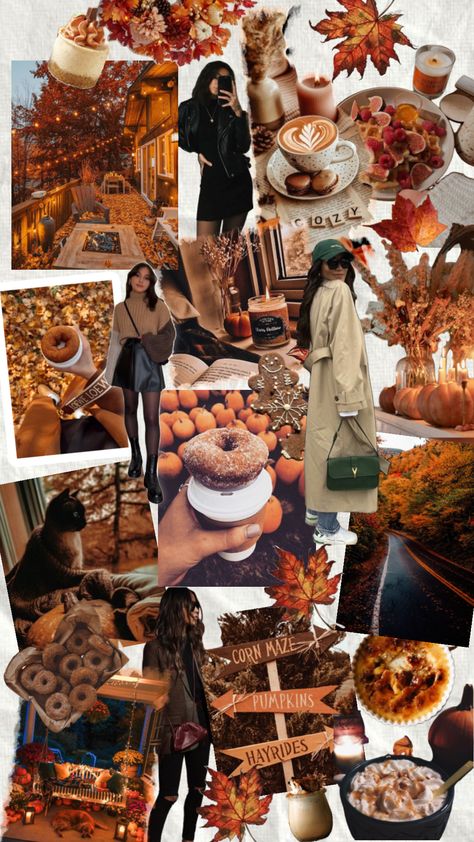 Fall Moodboard, Thailand Travel Guide, Best Travel Quotes, Japan Travel Guide, Outfit Collage, Fall Inspo, Mood Board Fashion, Autumn Outfit, Free Travel