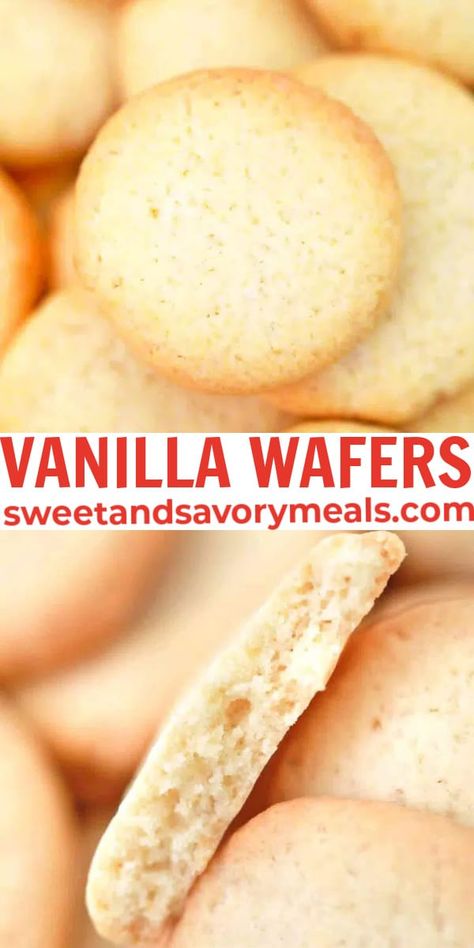 Vanilla Wafers are the homemade version of Nilla Wafers or otherwise called classic vanilla cookies. #cookies #vanillawafers #wafers #vanilla #treat #sweetandsavorymeals Vanilla Chips Recipes, Sugar Wafers, Vanilla Wafer Christmas Cookies, Homemade Vanilla Wafers, Vanilla Wafer Cookies Recipe, Sourdough Vanilla Wafers, Nilla Wafer Sandwich Cookies, Homemade Vanilla Wafers Nilla, Nilla Wafer Recipes