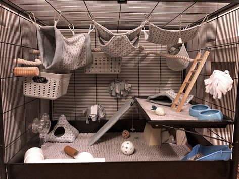 Big Rat Cage, Pet Rat Play Area, Rat Enclosure Ideas Diy, Cool Rat Cages, Pet Rat Cages Aesthetic, Dumbo Rat Cage, Rat Cage Set Up Ideas, Rat Ideas Diy, Pet Rat Cage Setup