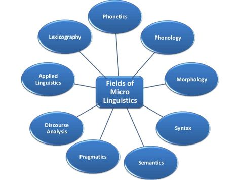 Morphology Linguistics, English Syllabus, Applied Linguistics, Syntax, How To Apply