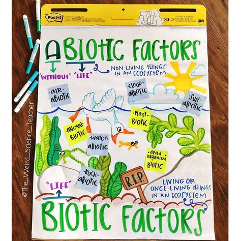 Rachael M.Ed on Instagram: “Whiteout saved my sanity with this chart. Zoom in and you can totally see my flubs- I never have spelling issues unless it’s being…” Middle School Science Anchor Charts, Scientific Process Anchor Chart, Science Tools Anchor Chart, Ecosystem Restoration Poster, Classroom Management Songs, Teaching Ecosystems, The Weird Science Teacher, Sixth Grade Science, Middle School Science Classroom