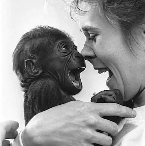 He recognises joy, love and sharing. - 9GAG Regard Animal, Baby Monkey, Primates, Funny Animal, Cuteness Overload, Animals Friends, Beautiful World, Animal Photography, Animals Beautiful