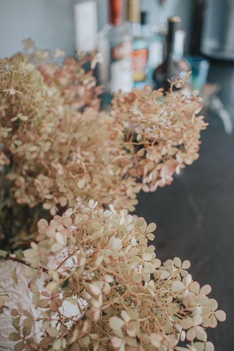 Dried Hydrangea Arrangements, Dried Hydrangeas Centerpiece, Dry Hydrangea Arrangements, Hydrangea Centerpiece Wedding, Eucalyptus Arrangement, House Moodboard, Hydrangea Bouquet Wedding, Harry Wedding, Panicle Hydrangea