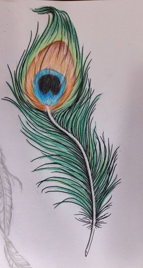 215 Peacock Tattoos For Females (2023) - TattoosBoyGirl Mayilpeeli Drawing, Painted Peacock Feather, Drawing Of Peacock Feather, Krishna Peacock Feather Painting, Peacock Feathers Art, Peacock Feathers Drawing Design, Peackok Feather Drawing, How To Draw A Peacock Feather, Drawing Peacock Feathers