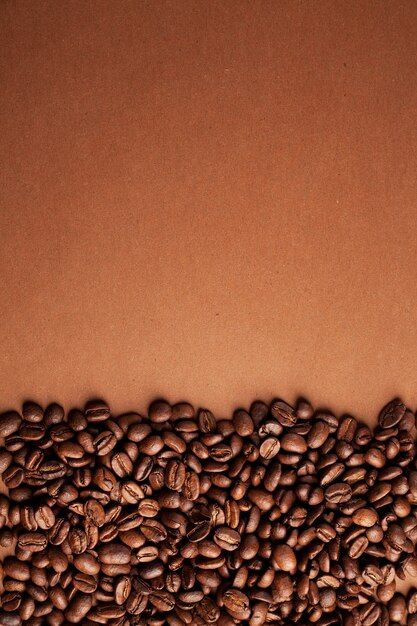 Coffee beans stripes on brown background | Premium Photo #Freepik #photo #coffee-roaster #coffee-roasting #black-coffee #coffe-beans Coffee Beans Aesthetic, Coffee Aesthetic Wallpaper, Coffee Beans Background, Cafe Website Design, Graphic Design Coffee, Coffee Wallpapers, Coffee Beans Photography, News Letters, Classic Mens Haircut