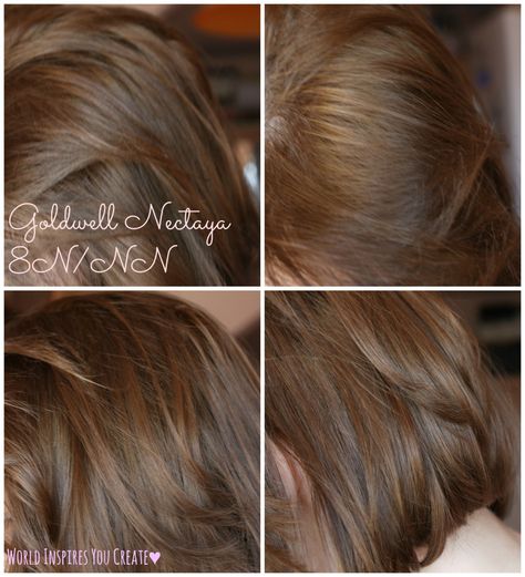 Goldwell Nectaya 8N/NN Goldwell Color Chart, 8n Hair Color, Home Hair Color, Red And Blonde, At Home Hair Color, Hair Color Chart, Home Hair, Blonde Tones, Hair Color Shades