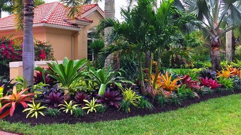 25+ Cheap Florida Backyard Landscape Ideas and Designs For 2022 Florida Plants Landscaping, Tropical Backyard Landscaping, Florida Landscape, Tropical Landscape Design, Florida Landscaping, Florida Plants, Tropical Garden Design, Tropical Backyard, Front Yard Garden Design