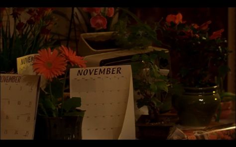 Sweet November (2001) Sweet November Movie, Sweet November, Girl Movies, Movie Genres, November 17, Aesthetic Movies, Almond, Film, Beauty