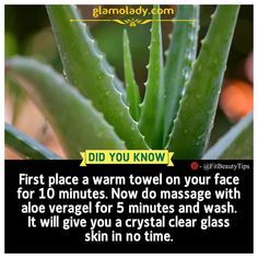 For more healthskin care tips and collection visit www.glamolady.com Aloevera Skincare, Crystal Clear Skin, Clear Skin Face, Natural Skin Care Remedies, Clear Healthy Skin, Tips For Glowing Skin, Good Skin Tips, Skin Care Diy, Beauty Tips For Glowing Skin