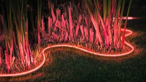 illuminated outdoor strip light in the garden Installing Led Strip Lights, Philips Hue Lights, Outdoor Led Strips, Cove Lighting, Philips Hue, Overhead Lighting, Hue Philips, Outdoor Light, Budget Backyard