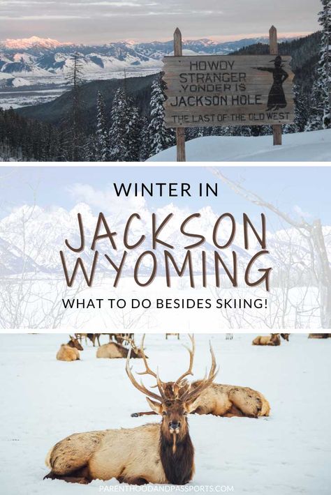 Winter in Jackson Hole, Wyoming: Top things to do besides skiing Winter In Jackson Hole Wyoming, Things To Do In Jackson Hole Wyoming Winter, Jacksonhole Wyoming Winter, Jackson Wyoming Winter, Jackson Hole Wyoming Winter, Wyoming Winter, Jacksonhole Wyoming, Jackson Hole Vacation, Wyoming Trip