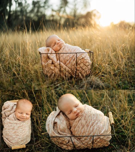 Outside Fall Newborn Pictures, Field Newborn Pictures, Newborn Photos Outside Fall, Newborn Photo Outdoor, Newborn Family Photos Outdoor Fall, Newborn Outdoor Photoshoot Fall, Outdoors Newborn Photography, Outdoor Fall Newborn Pictures, Infant Outdoor Photoshoot