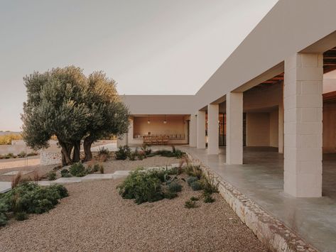 La nuova villa firmata da Andrew Trotter in Puglia è un magnifico esempio di stile mediterraneo moderno | Architectural Digest Italia Andrew Trotter, Modern Neoclassical, Traditional Houses, Casa Exterior, Built In Furniture, Summer Living, Trotter, Terrace Garden, Local Design