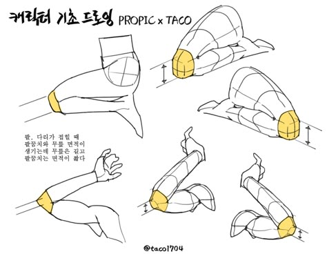 Bent Leg Reference, Taco 1704, Taco Anatomy, Anime Anatomy, Leg Drawing, Taco Drawing, Leg Anatomy, Anime References, Anatomy Tutorial