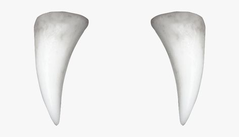 Teeth Png, Vampire Fangs, Vampire Teeth, Png Download, Fantasy Character Design, Transparent Png, Fall Vibes, Vampire Diaries, Png Image