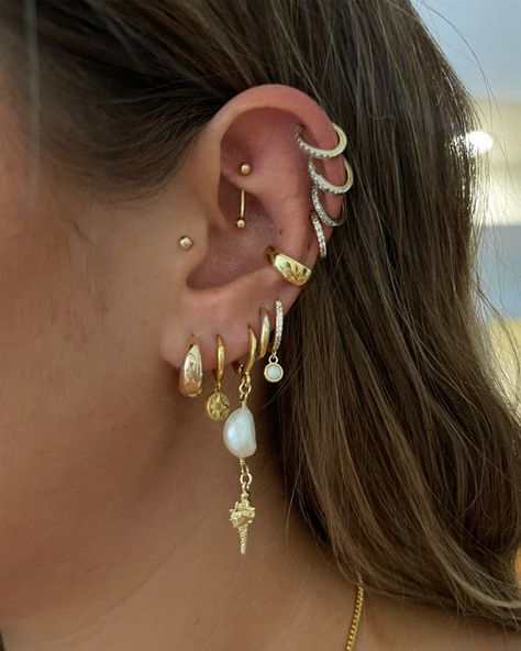 Lots Of Gold Earrings, Took Peircings, Mixed Jewelry Metals Ear, Conch Hoop Earring, Unique Helix Earrings, Conch Earring Hoop, Ocean Earring Stack, Stacked Jewelry Earrings, Pearl Conch Piercing