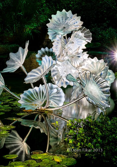 Istoria Artei, Dallas Arboretum, Dale Chihuly, Art Of Glass, Blown Glass Art, Glass Sculptures, Chihuly, Wow Art, Sea Glass Art