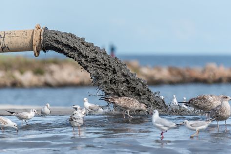 Stop Pollution, Water Contamination, Can Water, Personal Injury Claims, Camp Lejeune, Contaminated Water, Animal Agriculture, Permaculture Design, La Pollution