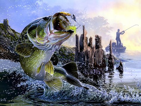 Fishing Wallpaper, Bass Fishing Tattoo, Bass Fishing Pictures, Large Mouth Bass, Animal Wall Art Prints, Modern Canvas Painting, Fishing Photography, Bass Fishing Tips, Marjolein Bastin