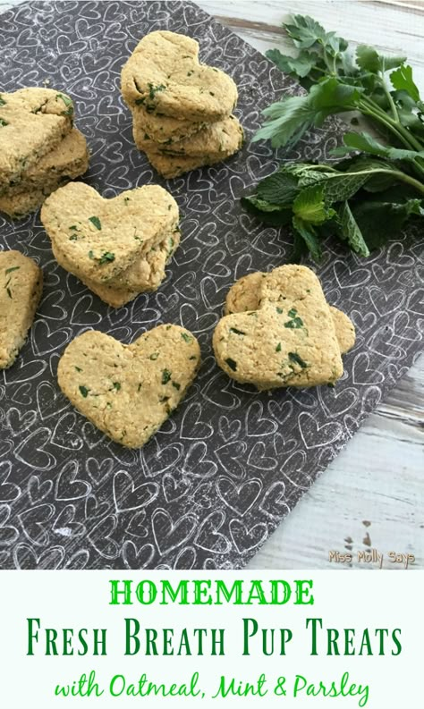 Fresh Dog Breath, Good Breath Dog Treats, Greenies For Dogs, Bison Dog Treats, Dog Food Containers Storage Ideas, Dog Treats With Veggies, Avocado Dog Treats, Diy Mint Dog Treats, Whole Wheat Dog Treats