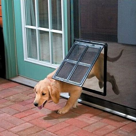 Amazon.com : Namsan Magnetic Automatic Lock/Lockable Pet Screen Door Inside Size 12x16 Inches Dog Door for Sliding Door for Doggy, Cat : Pet Supplies Dog Screen Door, Dog Packing List, Pet Screen Door, Pet Doors, Pet Fence, Window Security, Pet Door, Cat Tunnel, Dog Gate