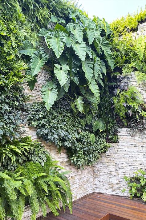 Mos Wand, Vertikal Garden, Tropical Landscape Design, Garden Wall Designs, Vertical Garden Design, Tropical Garden Design, Vertical Garden Wall, Vertical Garden Diy, Walled Garden