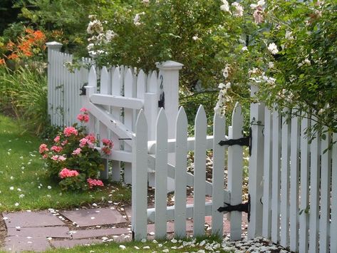 New England Colonial Gardens | Colonial garden gate | Flickr - Photo Sharing! White Garden Fence, Picket Fence Gate, Wood Picket Fence, Colonial Garden, Picket Fence Panels, Wood Fence Design, Garden Fence Panels, White Fence, Front Yard Fence