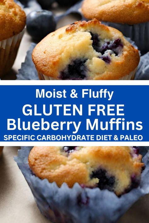 Paleo Blueberry Muffins Dairy Free Blueberry Muffins, Gluten Free Blueberry Muffins, Muffins Recipes, Lemon Blueberry Muffins, Healthier Options, Muffin Recipes Blueberry, Free Friends, Gluten Free Muffins, Gluten Free Dairy Free Recipes