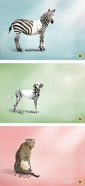 Amazing animal Great Advertising Ad Campaigns, Product Campaign Creative Advertising, Laundry Detergent Creative Ads, Wellness Creative Ads, Detergent Ads Creative, Advertising Ideas Creative Ad Campaigns, Creative Ads Clever Advertising, Tide Advertisement, Ad Creative Design