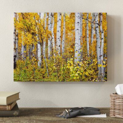 자작나무 그림, Aspen Trees Painting, Birch Trees Landscaping, Birch Tree Art, Birch Tree Painting, Wood Painting Art, Aspen Trees, Nature Art Painting, Yellow Painting