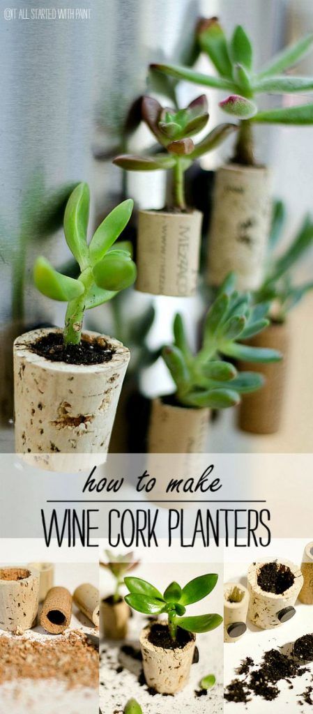 Wine Cork Diy Projects, Cork Magnet, Cork Planters, Wood Succulent Planter, Cork Diy Projects, Wine Cork Ideas, Wine Cork Diy Crafts, Wine Cork Projects, Garden Wedding Favors