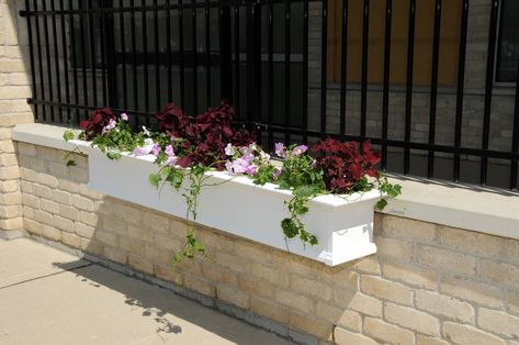 Yorkshire Self-Watering Plastic Window Box Planter - up to 7 feet long White Window Boxes, Wood Window Boxes, Wall Pots, Window Planter, Home Pottery, Window Planters, Pottery Pots, Plastic Window, Decorative Brackets