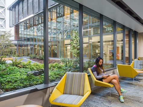 The library's courtyard offers a forest-like feel, calming stressed-out students and mirroring Oregon's natural environment. Library Landscape, Library Building, Building A Kitchen, Library Architecture, Boston Public Library, University Of Oregon, Rain Garden, Study Rooms, Library Design