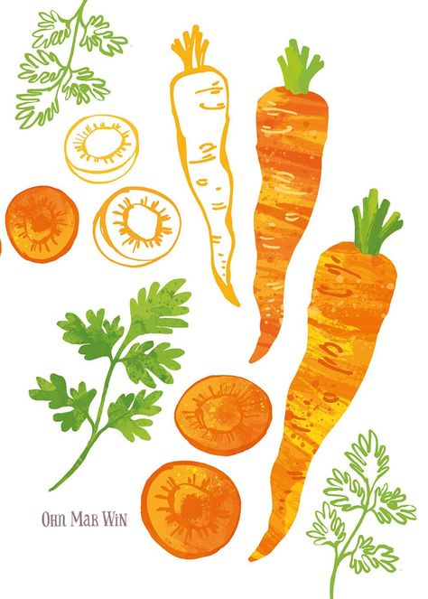 Whole sliced carrots coriander illustration Food Illustrations Design, Soup Art, Veggie Illustration, Food Illustration Poster, Soup Drawing, Carrot Aesthetic, Vegetables Illustration, Carrot Art, Carrots Aesthetic