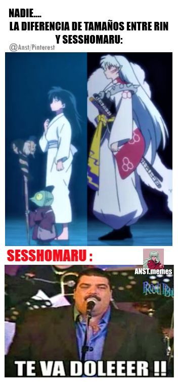 Rin And Sesshomaru, Seshomaru Y Rin, Inu Yasha, Memes Random, Memes Anime, Zero Two, Inuyasha, Studio Ghibli, Demon Slayer