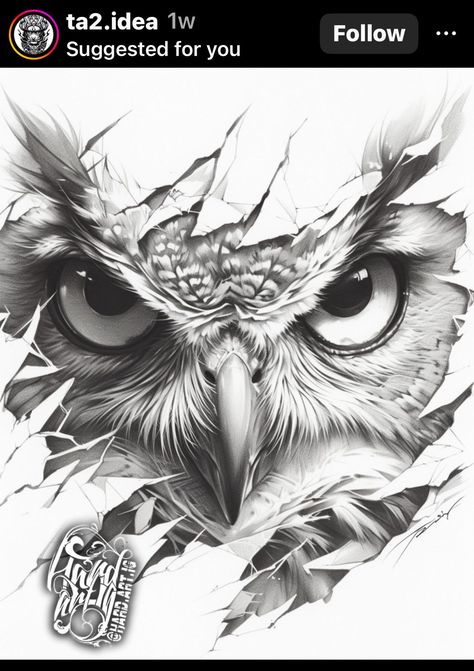 Owl Tattoo Men, Rich Tattoo, Coloured Rose Tattoo, Hahaha Joker, Infinity Tattoo With Feather, Owl Tattoo Drawings, Animal Stencils, Tattoo Over Scar, Torso Tattoos