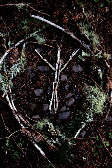 Druidry Aesthetic, Viking Aesthetic, Nordic Aesthetic, The Ancient Magus Bride, Deco Nature, Witch House, Season Of The Witch, Beltane, Witch Aesthetic