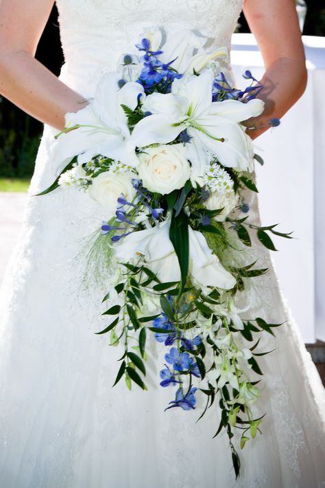 My wedding bouquet: Cascading Bridal Bouquet with lilies, blue delphinium, bells of ireland, roses and laurel by Kathy @ Valley Nursery Bells Of Ireland, Blue Flowers Bouquet, Cascading Bridal Bouquets, Cascading Wedding Bouquets, Purple Wedding Bouquets, Red Bouquet Wedding, Blue Delphinium, Blue Wedding Bouquet, Lily Bouquet