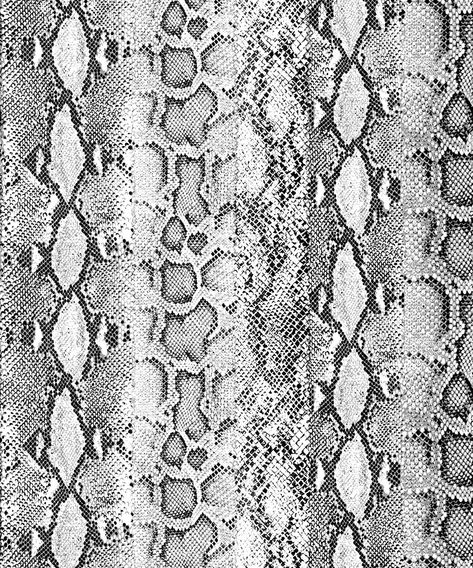 Snake Skin Aesthetic, Cameron Core, Tropical Prints Pattern, Joshua Tree House, Animal Print Background, Animal Print Wallpaper, Snake Skin Pattern, Apartment Layout, Snake Pattern