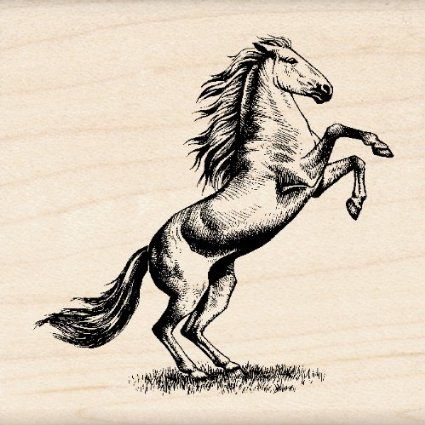 Amazon.com: Inkadinkado Horse Wood Stamp: Arts, Crafts & Sewing Black Horse Tattoo, Stallion Tattoo, Horse Sketch Art, Horse Tattoo Design, Cowboy Tattoos, Horse Rearing, Unicorn Tattoos, Western Tattoos, Horse Sketch