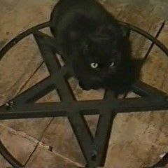 Satanic Aesthetic, Punk Cats, Castlevania Wallpaper, Black Cat Aesthetic, Spooky Cat, Silly Cats Pictures, A Black Cat, Cat Boarding, Cat Aesthetic