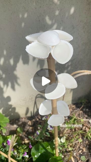 Lulu's Inspired Home on Instagram: "Recently I made the cutest bee feeders.. I just love the nature 🍃#beefeeder #madebyme #madeinireland #savethebees" Bee Feeder, Love The Nature, Save The Bees, The Nature, Inspired Homes, The Cutest, Just Love, Bee, On Instagram