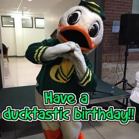 Duck Happy Birthday, Oregon Football, Football Ideas, Ducks Football, Birthday Memes, Duck Birthday, Oregon Ducks Football, Oregon State University, University Of Oregon