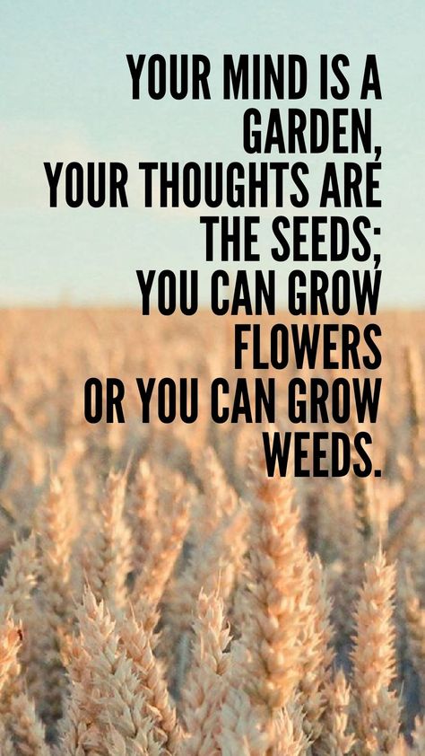 Your mind is a garden... Your Mind Is A Garden Quote, Your Mind Is A Garden, Mind Is A Garden, New Year Message, Snapchat Streak, Garden Quotes, Meaningful Messages, Garden Theme, Sunday School